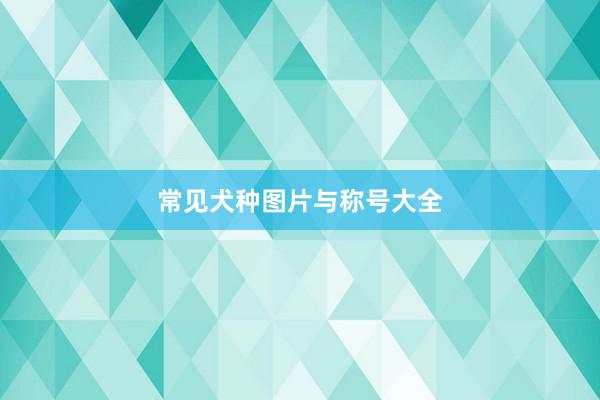 常见犬种图片与称号大全